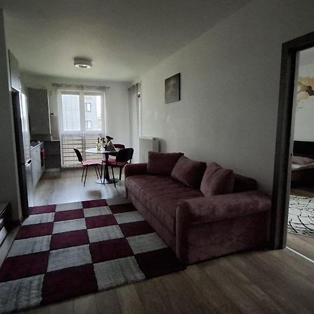 Ludi House Apartment Târgu-Mureş Exterior foto