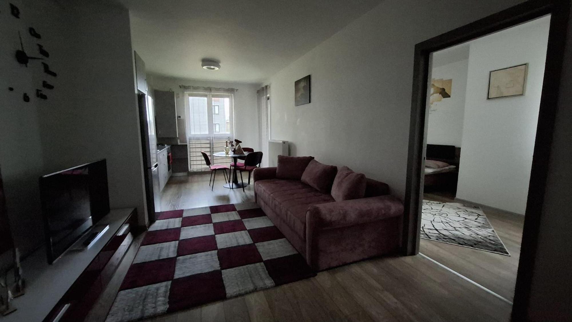 Ludi House Apartment Târgu-Mureş Exterior foto